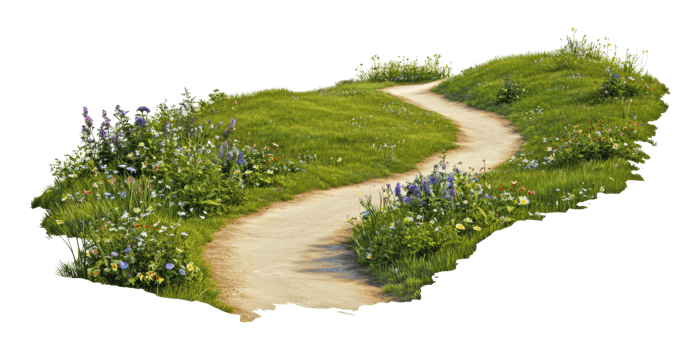 Winding dirt path through lush green meadow with wildflowers isolated on transparent background png