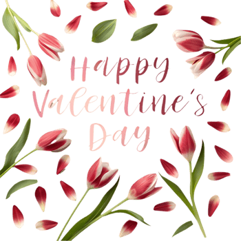 Lovely Tulip Petals Arranged for Beautiful Valentine Greeting. . png