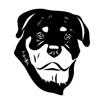 A black and white drawing of a dog's head vector