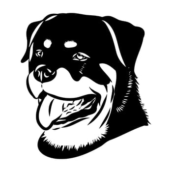 A black and white drawing of a dog's head vector