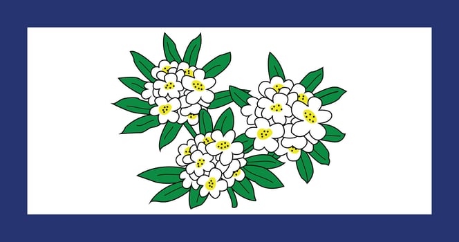 West Virginia 1905 1907 Flag Illustration Premium Quality vector