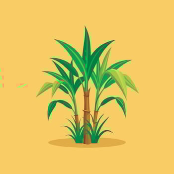 A cartoon illustration of a sugar tree vector
