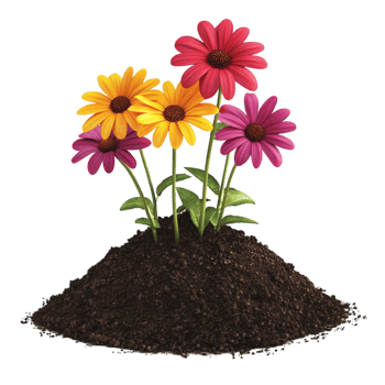 A pile of dirt with colorful flowers png