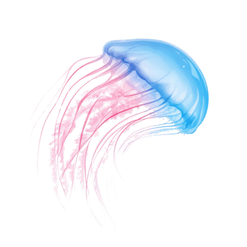 Watercolor Painting of a Pink and Blue Jellyfish png