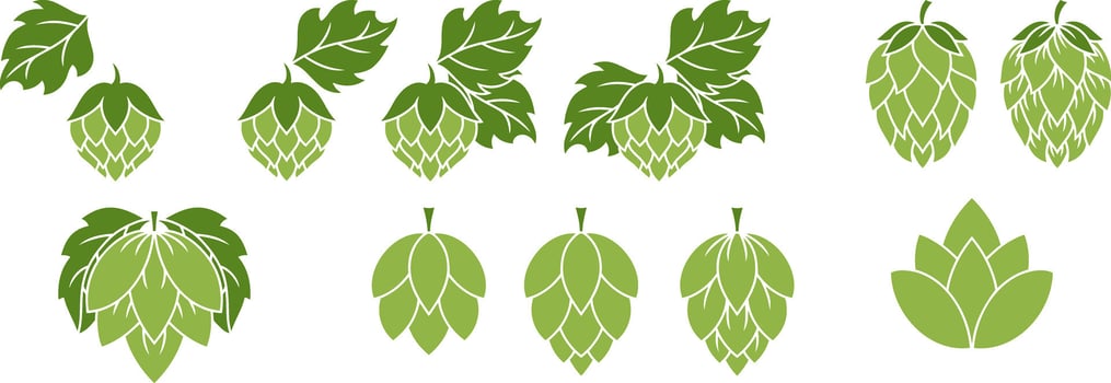 Green Hop cone with leaves Element for logo restaurant craft beer pub brewery vector