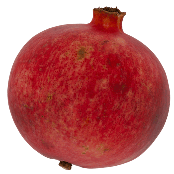 3d render pomegranate with transparent background png
