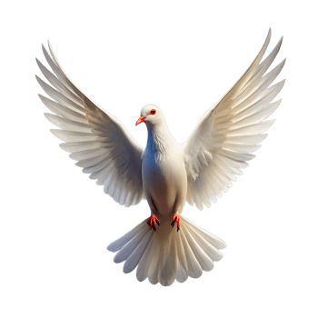 Majestic White Dove in Flight, Symbolizing Peace png