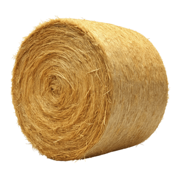 Golden Hay Bale Ready for Harvest png