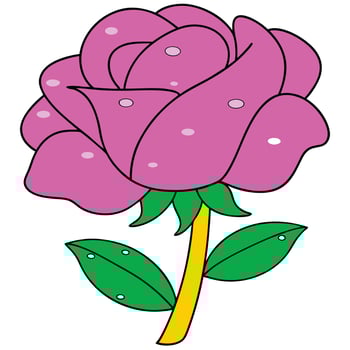 Pink Rose Flower Illustration Dewdrops, Petals, Stem, Leaves vector
