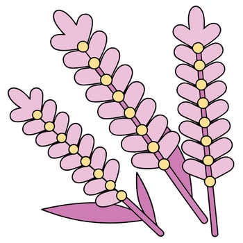 Pretty Pink Lavender Flowers, Floral Design, Nature Illustration vector