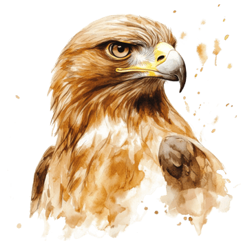Majestic Golden Eagle Watercolor Portrait png