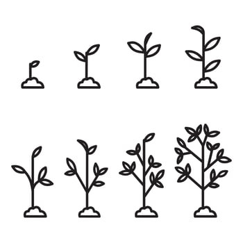 Phases plant growing. Planting tree infographic. Line art icons. illustration in flat style. vector