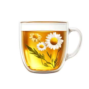 PNG Aromatic Chamomile Tea in a Glass Cup Against Transparent Background for Beverage Designs, Relaxation Themes, or Organic Illustrations