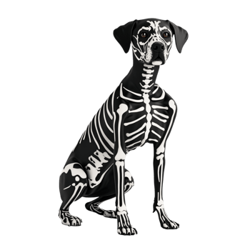 Dog Wearing Skeleton Costume for Halloween Vector Silhouette png