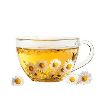 PNG Aromatic Chamomile Tea in a Glass Cup Against Transparent Background for Beverage Designs, Relaxation Themes, or Organic Illustrations