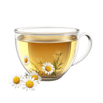 PNG Aromatic Chamomile Tea in a Glass Cup Against Transparent Background for Beverage Designs, Relaxation Themes, or Organic Illustrations