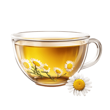 PNG Aromatic Chamomile Tea in a Glass Cup Against Transparent Background for Beverage Designs, Relaxation Themes, or Organic Illustrations