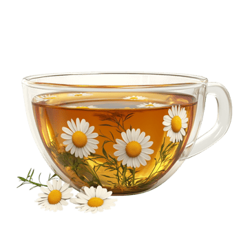 PNG Aromatic Chamomile Tea in a Glass Cup Against Transparent Background for Beverage Designs, Relaxation Themes, or Organic Illustrations