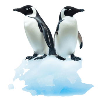 Penguins on an Iceberg Isolated Against Transparent Background png