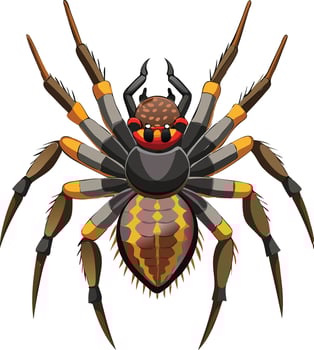 Realistic Spider Available on EPS File vector