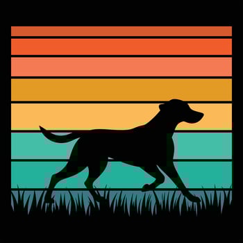 Vintage Style Chesapeake Bay Retriever Silhouette with Retro Sunset vector