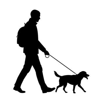 Man walking dog on a transparent background outdoor lifestyle companion animal urban environment side view calm leisure png