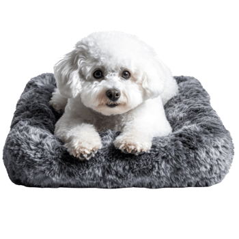 A fluffy white dog rests comfortably on a soft, gray pet bed, showcasing its adorable features and calm demeanor. png