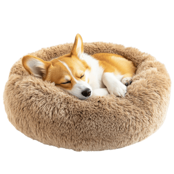 A curled-up corgi peacefully sleeping in a cozy, fluffy pet bed. png
