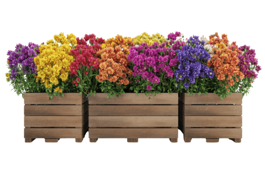 A vibrant display of colorful flowers arranged in wooden planters, showcasing a mix of hues including purple, yellow, orange, and pink. png