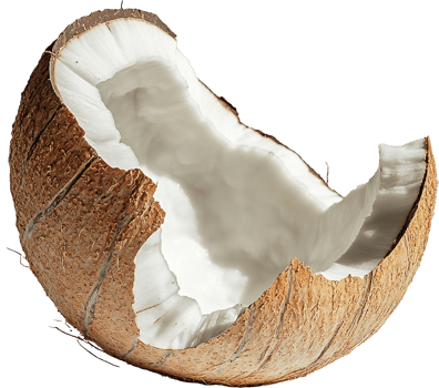 Cracked open coconut half showcasing natural white flesh and textured brown shell isolated on transparent background png