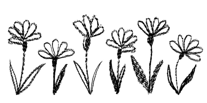Hand drawn floral elements set. Ink drawing flowers with leaves in naive style. Black and white chalk elements in grunge style. vector