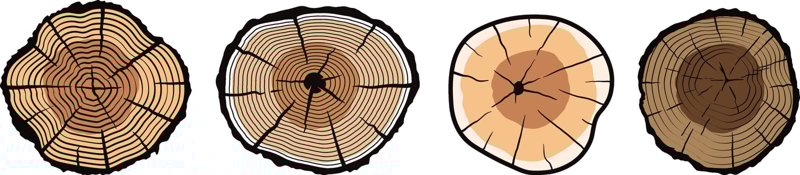 collection of wooden logos with various and modern shapes vector