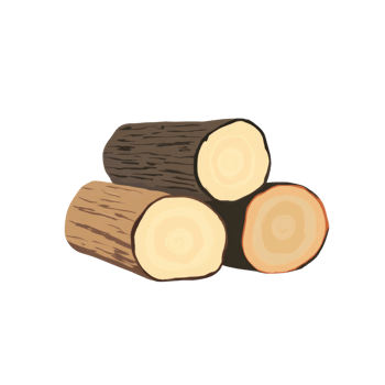 Three Logs Stacked Showing Annual Rings png