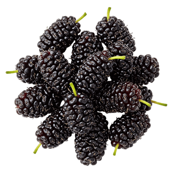 Mulberries Heap Natural Sweetness png
