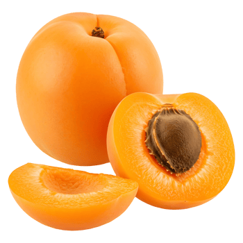 Apricot Thin Slices Fresh png