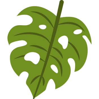 tropical leaves monstera foliage png