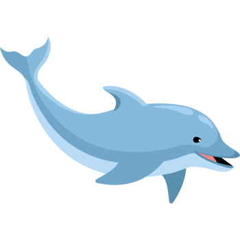 dolphin aquatic mammal png