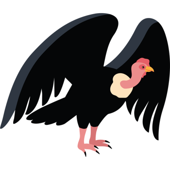 condor bird animal isolated png
