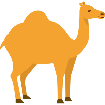 cute cartoon camel desert animal png