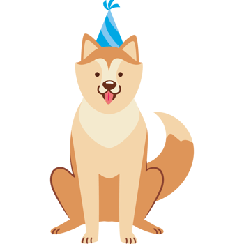 dog with party hat cartoon png
