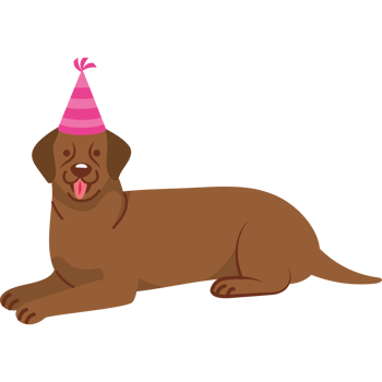 happy dog with party hat png
