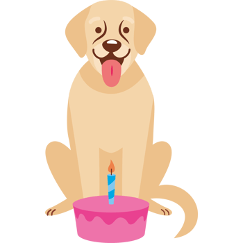 happy dog with birthday cake png