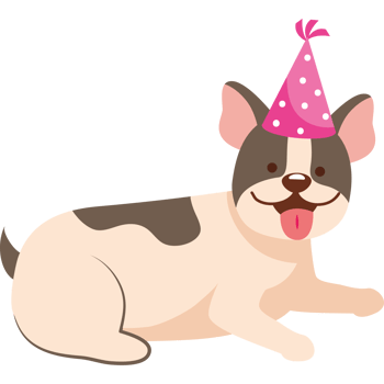 small dog with birthday hat png