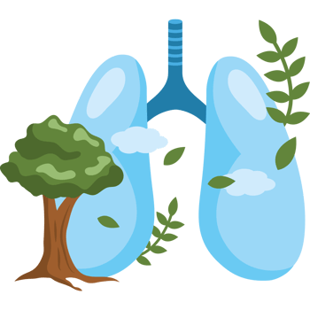 breathe fresh air forest is lungs png