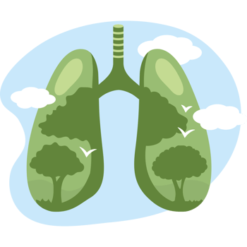 lungs with green trees clean air png