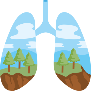 cartoon clean air lungs png