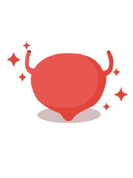 bladder human icon Illustration png