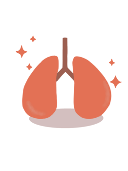 ilustration of Lungs icon png