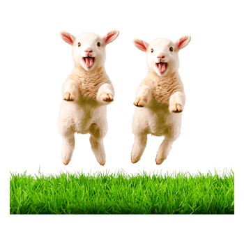 Playful Lambs Jumping on Green Grass in a Farm Setting png