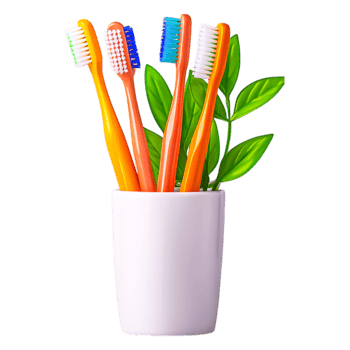 Colorful Toothbrushes in White Pot with Green Leaves on png